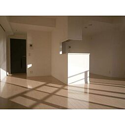 東京メトロ有楽町線 月島駅 徒歩17分の賃貸マンション 7階1LDKのリビング/ダイニング