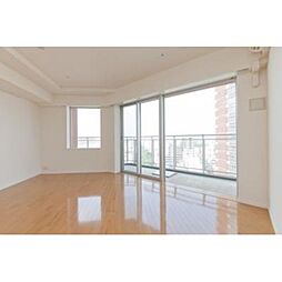 都営大江戸線 東中野駅 徒歩5分の賃貸マンション 5階1LDKのリビング/ダイニング