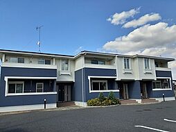 ノース　ジェイド