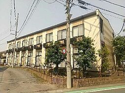 レオパレスピーヌス