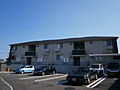 ドレクシア庄野