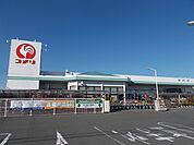 【ホームセンター】コメリハード＆グリーン 小笠店まで1200ｍ
