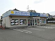 コインランドリーたんぽぽひるいまで290ｍ