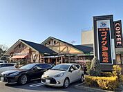 【その他】コメダ珈琲店 京都伏見店まで800ｍ