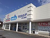 【ドラッグストア】ウエルシア高崎上佐野店まで1300ｍ