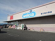 【ドラッグストア】ウエルシア富士宮小泉店まで1300ｍ