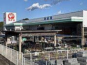 【ホームセンター】コメリ ハード＆グリーン森店まで1200ｍ