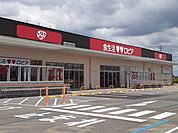 【スーパー】ロピア柳津店まで1100ｍ