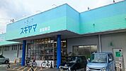 【ドラッグストア】ドラッグスギヤマ新城東店まで110ｍ