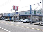 【ドラッグストア】ウエルシア清水興津店まで500ｍ