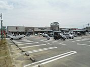 【スーパー】しずてつストア掛川店まで1330ｍ