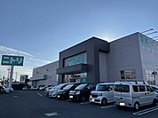 【ホームセンター】ニトリ牛久店まで1400ｍ