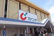 【ドラッグストア】カワチまで450ｍ