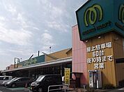 【スーパー】マミープラス柏若葉町店まで450ｍ