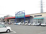 【スーパー】しまむらストアー 田村店まで1400ｍ