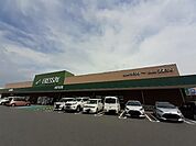 【スーパー】フレッセイ富塚店まで700ｍ