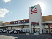 【スーパー】ヨークベニマルまで300ｍ