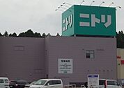 【ホームセンター】ニトリ　石岡店まで1200ｍ