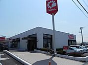 【銀行】千葉銀行　花野井支店まで1300ｍ