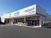 【ドラッグストア】ウエルシア日立小木津店まで800ｍ