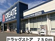 【ドラッグストア】ドラッグストアまで750ｍ