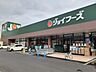 周辺：【スーパー】ジョイフーズ上佐野店まで700ｍ