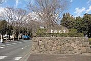 【大学】東海大学まで400ｍ