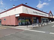 【スーパー】遠鉄ストア池田店まで400ｍ