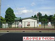 【小学校】大森小学校まで4920ｍ