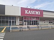 【ショッピングセンター】カスミフードスクエア茂原店まで3600ｍ