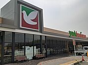 【スーパー】ヨークベニマル友部東平店まで1191ｍ