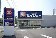 【ドラッグストア】セイジョー 修善寺店まで900ｍ