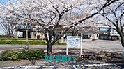 本庄文化会館まで3600ｍ