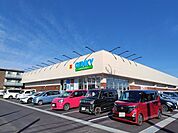 【ドラッグストア】ゲンキー楽田店まで1700ｍ