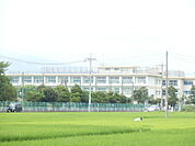 【小学校】平塚市立金田小学校まで1233ｍ