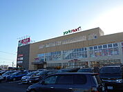【スーパー】ヨークマート北金目店まで2200ｍ