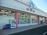 西松屋 掛川店まで800ｍ