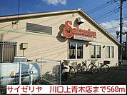 【その他】サイゼリヤ　川口上青木店まで560ｍ