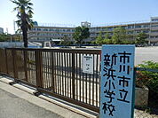 【小学校】市川市立新浜小学校まで432ｍ