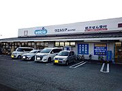 【ドラッグストア】ウエルシア　水戸島店まで550ｍ