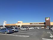 【スーパー】ヨークタウンひたちなかまで750ｍ