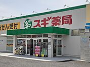 【ドラッグストア】スギドラッグ松河戸店まで550ｍ