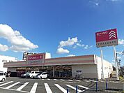 ダイソー小山本郷店まで450ｍ