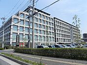 【総合病院】柏たなか病院まで500ｍ