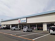【ドラッグストア】カワチ西那須野店まで1200ｍ