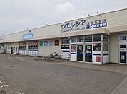 【ドラッグストア】ウエルシア常総石下店まで1460ｍ