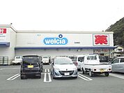 【ドラッグストア】ウエルシア　榛原店まで1300ｍ