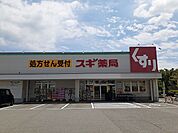 【ドラッグストア】スギ薬局碧南雨池店まで1034ｍ