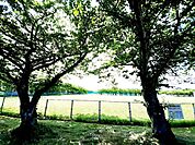 【公園】厚原スポーツ公園まで350ｍ