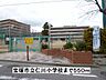 周辺：【小学校】宝塚市立仁川小学校まで550ｍ